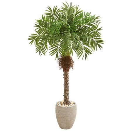 DARE2DECOR 63 in. Robellini Palm Artificial Tree in Sandstone Planter DA2476892